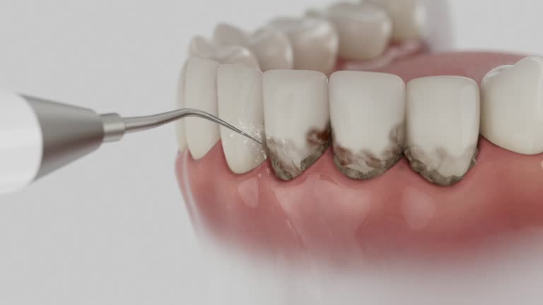 Reliable Dental contractor in Elgin, IL by Dentist Open Now